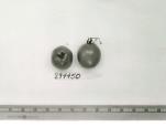 Click for 1 image(s) for this accession. FRUIT